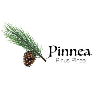 Pinus Penia logo