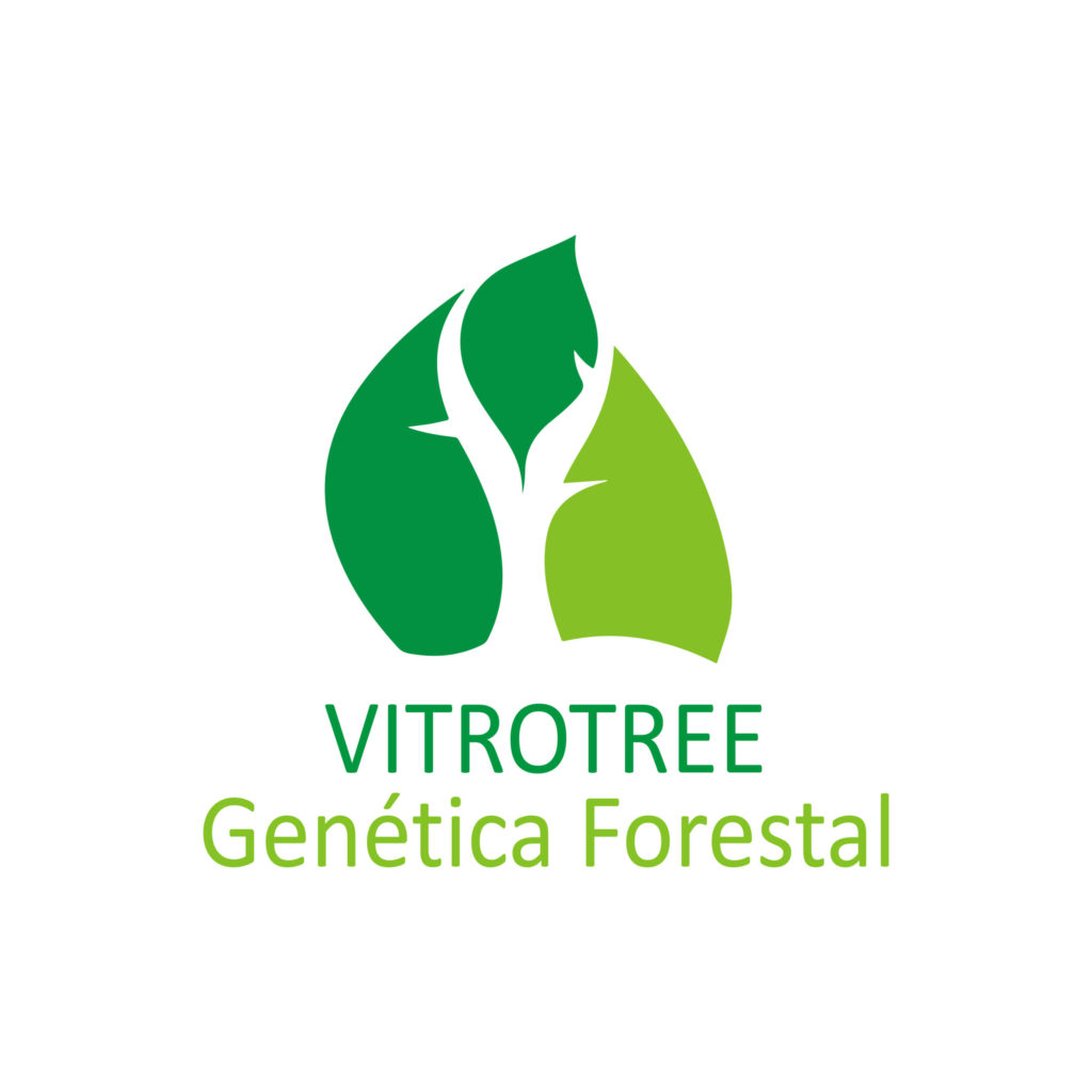 Vitrotree